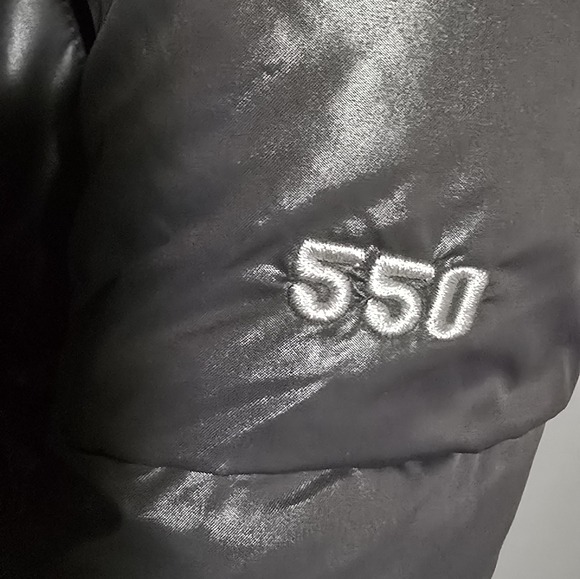 The North Face Shiny 550 Goose Down Puffer jacket - Picture 2 of 11